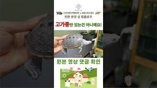 테라핀 입문을 추천드리는 분들에게 강력 추천해 드리는 종류입니다!