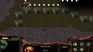 Path-finding Experiment
