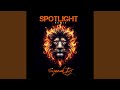 Spotlight (Remix)
