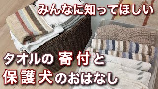 タオルの寄付と保護犬のおはなし