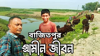 কিশোরগঞ্জ বাজিতপুর গ্রামীন জীবন || Kishoreganj bazitpur village lifestyle || kishoreganj haor vlog