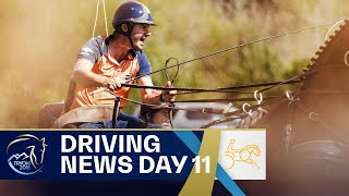 Koos de Ronde convinces at Driving Marathon | Driving | FEI World Equestrian Games 2018