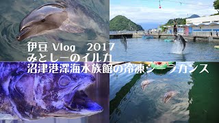 【水族館】027 伊豆・三津シーパラダイス みとしーのダラダラしたイルカに癒される。沼津港深海水族館のシーラカンス【静岡】Canon EF24-105㎜ F4 L IS USM