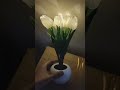 Tulip Atmosphere Night Lamp