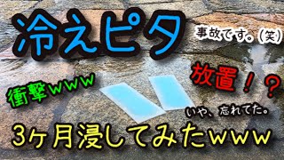 冷えピタを水に３ヶ月入れた結果がヤバイwww