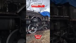 【SL甦れ】有りし日のD511149号