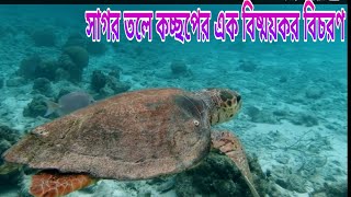 Tortoise Playing //Deep Sea ** সাগর তলে কচ্ছপের এক বিষ্ময়কর বিচরণ