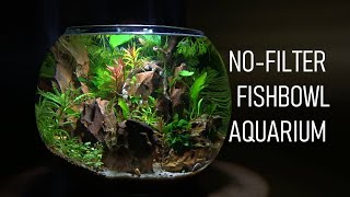 How To Set Up A FISHBOWL The RIGHT Way! | No Filter - No Heater - Aquarium Setup