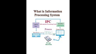 IPC ( Information processing cycle )