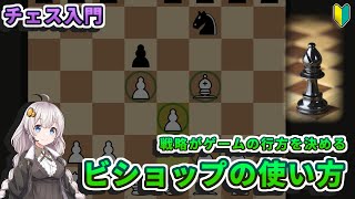 【チェス入門】６．ビショップの使い方 - マスの色と戦略がゲームの支配力を決める【初心者講座】