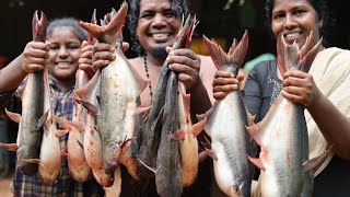 ലൈവ് മീൻപിടുത്തവും പാചകവും.... live fish caching and cooking