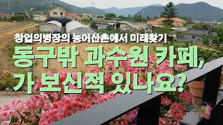 동구밖 과수원 카페, 가보신적 있나요? (창업의병장의 양평친환경로컬푸드에서 미래찾기)