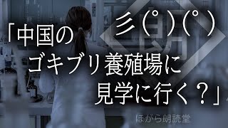 【朗読】彡(ﾟ)(ﾟ)「中国のゴキブリ養殖場に見学に行く？」