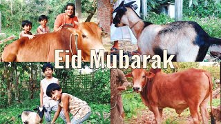 Alhamdulillah Our Eid UL Adha||#shoaib ibrahim#dipika kakar#dipika kakar Ibrahim