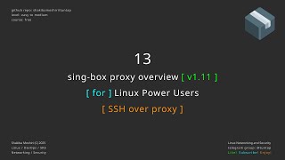 13 sing-box proxy overview - SSH over proxy
