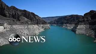 Another body discovered in receding Lake Mead l ABC News