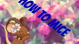 Transformice: How To Mice