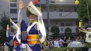 「菊の会」第31回南越谷阿波踊り（2015.8.23）