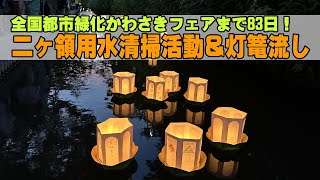 約100人が参加！二ヶ領用水「今井上町緑道」清掃活動＆灯篭流し