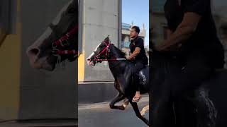 Horse riding  horse sound, ઘોડા ના ડાબલા નો અવાજ