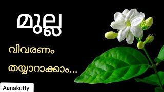 മുല്ലപ്പൂവ് വിവരണം mullappoo kurippu  @Aanakutty പൂക്കളെ കുറിച്ച് വിവരണം #മുല്ല #kurippu #flowers