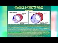 FISIOLOGÍA - MICROCIRCULACIÓN Y DRENAJE LINFÁTICO / PROF. DR.  RAFAEL ESTRADA