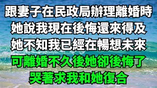 跟妻子在民政局辦理離婚時，她說我現在後悔還來得及，她不知我已經在暢想未來，可離婚不久後她卻後悔了，哭著求我和她復合【故事簍子】#落日溫情#情感故事#花開富貴#深夜淺讀#家庭矛盾#爽文