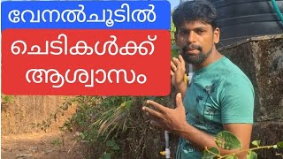 വേനൽ ചൂടിന്  ആശ്വാസകരമായി  | ഇനി ചെടികൾക്ക് രണ്ടുനേരം  കുടിക്കാനും കുളിക്കാനും വെള്ളം