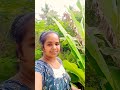 പൂച്ച ജീവിതം😇 ytshorts malayalam