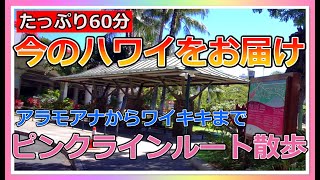 一緒に散歩しませんか？アラモアナからワイキキまで１時間まるごとヴァーチャル散歩！【ハワイ現状】【ハワイの今】【ハワイ旅行】【HAWAII】