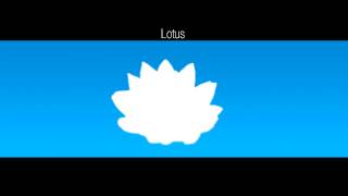 Lotus (original)