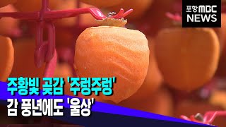 주황빛 곶감 '주렁주렁'..감 풍년에도 '울상' (2022.11.09/뉴스투데이/포항MBC)