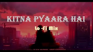 Kitna Pyara Hai Yeh Chehra - Lo - Fi Mix | Udit Narayan & Alka Yagnik | CRAZY LOKESH