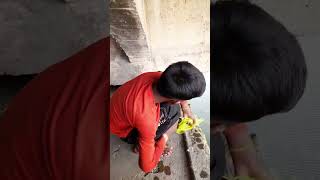 नरोरा गंगा जी के पुल #shortvideo