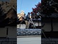 姫路市四郷町剪定模様　 剪定