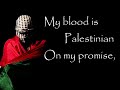 my blood is palestinian dami falasteeni translation