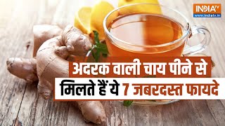 Ginger Tea:  Ramdev Baba से जानें अदरक वाली चाय के अनेक फायदे, वजन को घटानें में भी है लाभकारी