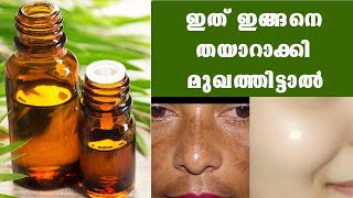 ഇത് ഇങ്ങനെ തയാറാക്കി മുഖത്തിട്ടാൽ  /Baiju's Vlogs