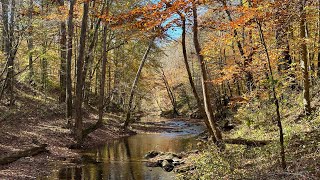 Big South Fork’s Station Camp Creek Valley, Historic Homesites, Gravesites, and The Beauty of Fall!