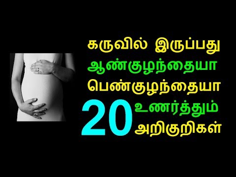 20 அறிகுறிகள் கருவில் இருப்பது ஆண்குழந்தையா பெண்குழந்தையா ?? 20 அறிகுறிகள் கருவில் இருப்பது ஆண்குழந்தையா பெண்குழந்தையா ??