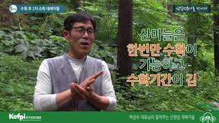 [산양삼5] 수확 후 2차 소득 대체 작물