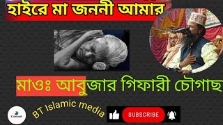 হায়রে মা জননী আমার ইসলামী সংগীত Hyra ma janani Amar islami sangeet @btIslamicmedia