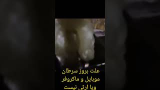 پدرارشان برنج پلاستیکی عامل بروز سرطان پانکراس معده روده بزرگ و غیره