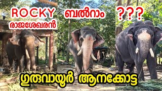 GURUVAYUR AANAKKOTTA ഗുരുവായൂർ ആനക്കോട്ട