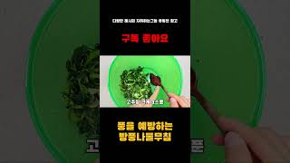 풍을 예방한다는 방풍나물로 아주 맛있는 무침을 만드는 방법