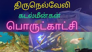 Under water tunnel Tirunelveli fish exhibition 2023 திருநெல்வேலியில் கடல் மீன்கள் கண்காட்சி 2023