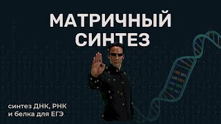 Матричный синтез | синтез ДНК, РНК и белков для ЕГЭ.