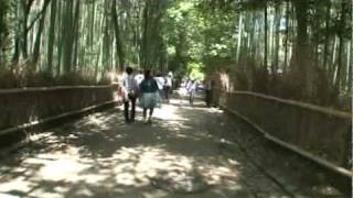 A081【京都】嵯峨野・愛宕街道-2＜天龍寺～野宮神社＞