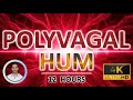Polyvagal Hum | Deep Sleep and Nervous System Calming | 12 Hours | Vagus Nerve and Anxiety Soothing
