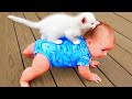 What Happends When Cute Cats Takes Care of Baby || Cool Peachy